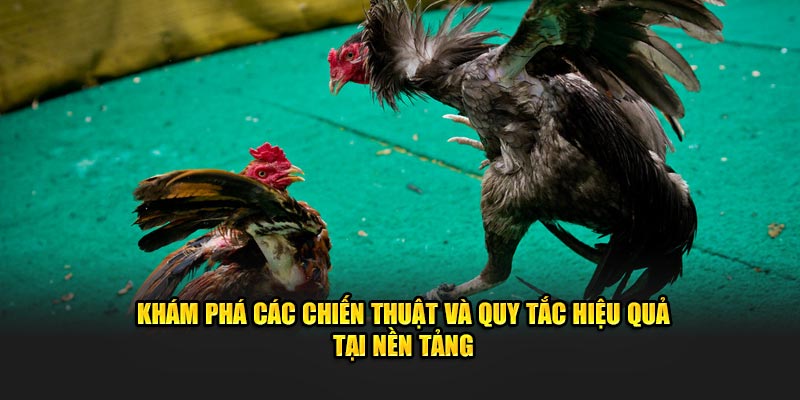 Khám phá các chiến thuật và quy tắc hiệu quả tại nền tảng