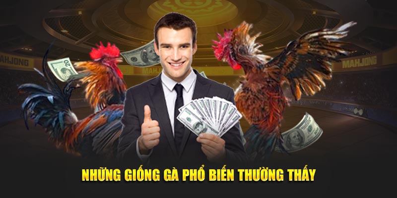 Những giống gà phổ biến thường thấy