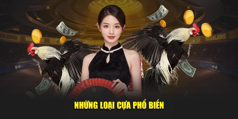 Những loại cựa phổ biến