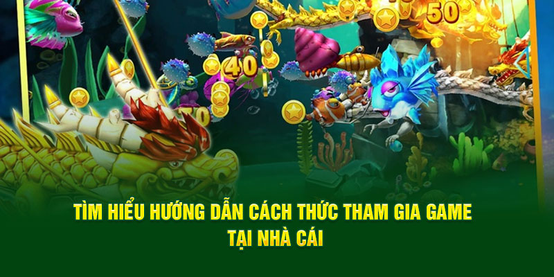 Tìm hiểu hướng dẫn cách thức tham gia game tại nhà cái